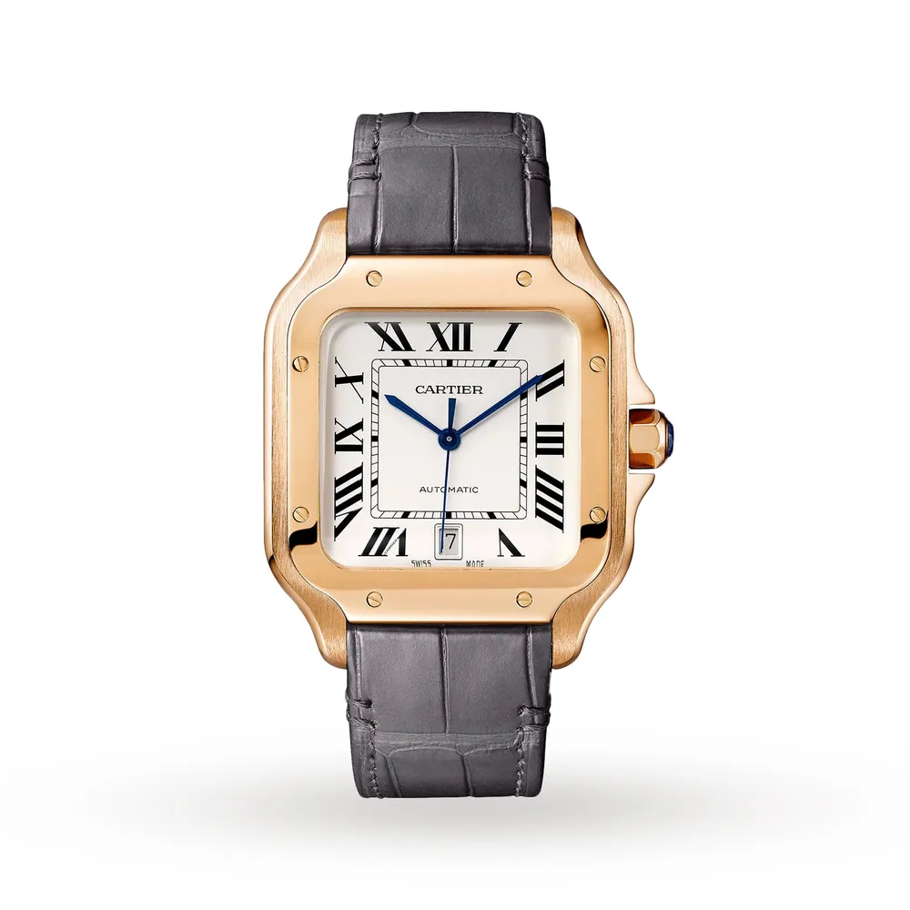 Cartier Santos De Cartier WGSA0019
