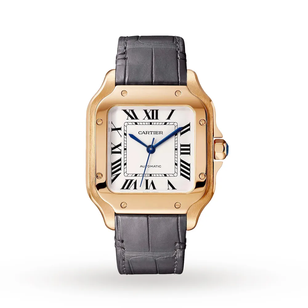 Cartier Santos De Cartier WGSA0028