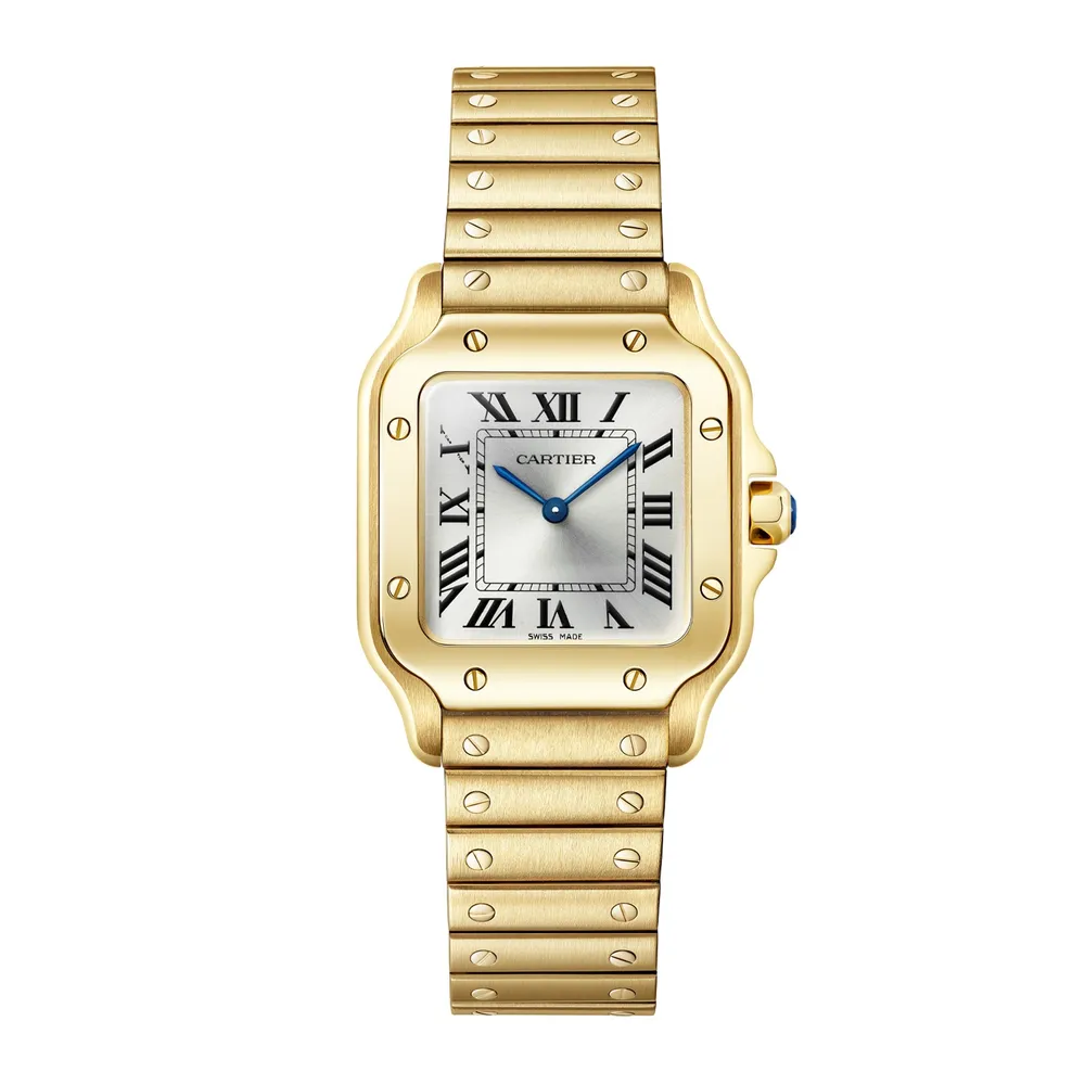 Cartier Santos De Cartier WGSA0107
