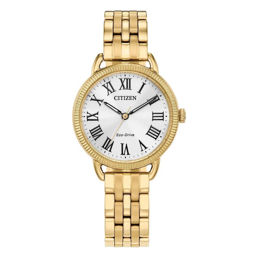 Citizen Eco-Drive Classic EM1052-51A