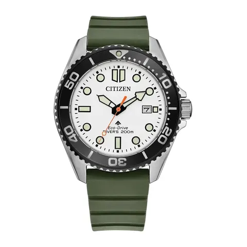 Citizen Promaster Diver Eco-Drive