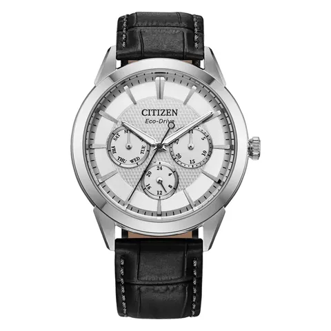 Citizen Rolan