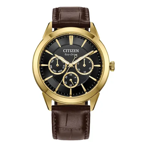 Citizen Rolan