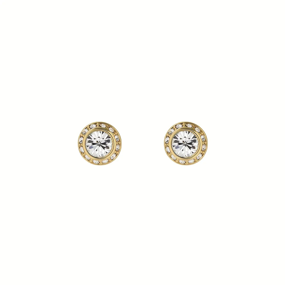 Ted Baker Yellow Gold Coloured Soletia Cubic Zirconia Stud Earrings