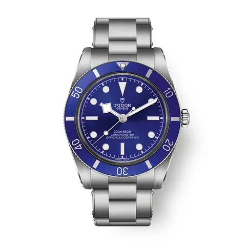 Tudor Black Bay 54
