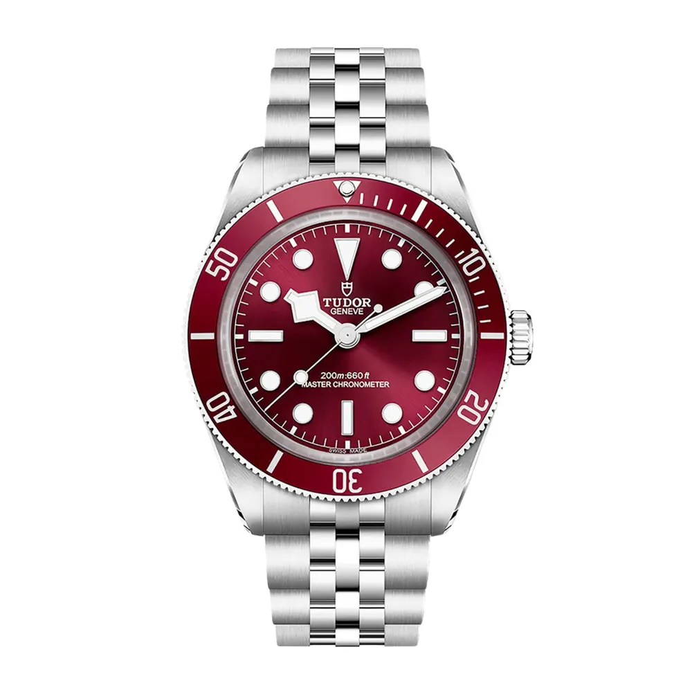 Tudor Black Bay 58 M7939A1A0RU-0001